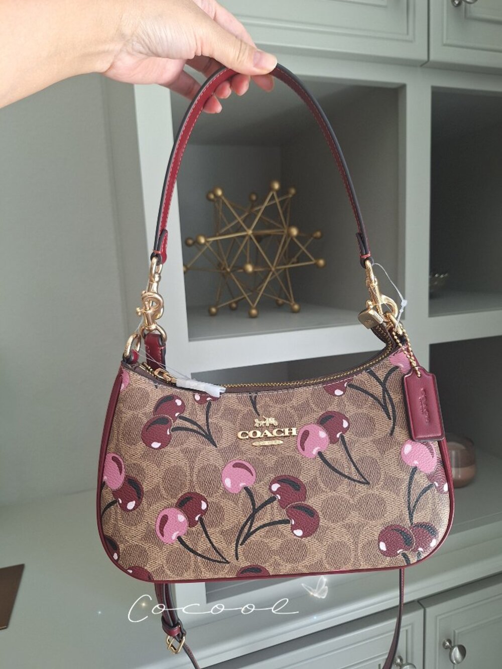 NWT Coach Teri Shoulder Bag In Signature Canvas With Cherry Print CY694